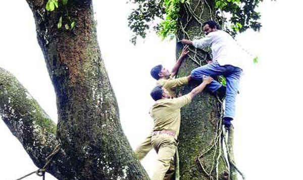 ಮರ ಕಡಿಯಬಾರದೆಂದು, ಮರ ಹತ್ತಿ ಕೂತ ಪರಿಸರ ಪ್ರೇಮಿ ಬಶೀರ್ ಅನಂದ್  ಜಾನ್ !